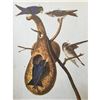 Image 1 : c1946 Audubon Print, #22 Purple Martin