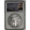 Image 1 : 2015 AMERICAN SILVER EAGLE NGC MS70