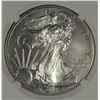 Image 2 : 2015 AMERICAN SILVER EAGLE NGC MS70
