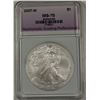 Image 1 : 2007-W BURNISHED AMERICAN SILVER EAGLE