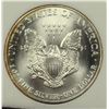 Image 3 : 1995 AMERICAN SILVER EAGLE NGP GRADED