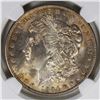 Image 2 : 1904-O MORGAN SILVER DOLLAR NGC MS65