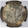 Image 3 : 1904-O MORGAN SILVER DOLLAR NGC MS65
