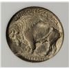 Image 3 : 1913-D TYPE 1 BUFFALO NICKEL CCGS