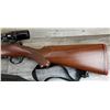 Image 2 : RUGER MODEL M77