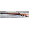Image 1 : MOSSBERG MODEL 910AHT