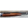 Image 8 : WINCHESTER MODEL 12