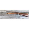 Image 1 : RUGER MODEL 10/22