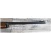 Image 10 : BERETTA MODEL A. 301