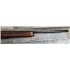 Image 8 : REMINGTON MODEL 1100