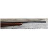 Image 8 : RUGER MODEL M77