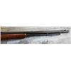 Image 8 : WINCHESTER MODEL 77