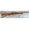 Image 1 : RUGER MODEL 10/22