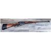 Image 8 : WINCHESTER MODEL 1895