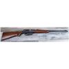 Image 8 : REMINGTON MODEL 81