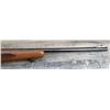 Image 8 : WINCHESTER MODEL 310