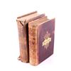 Image 1 : The Polar & Tropical Worlds Set Leather Bound