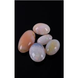 Collection of Precious Opals