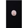 Image 6 : Collection of Precious Opals