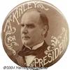 Image 1 : 3 1/2 In. McKinley Celluloid Button 1896