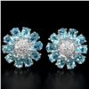 Image 1 : Natural Swiss Topaz Earrings