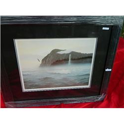 FRAMED LIMITED EDITION PRINT - SPIRIT OF HAIDA GWAII - C MacCLUE - ESTIMATED GALLERY PRICE $550