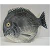 Image 1 : MAJOLICA FISH FORM PLATE