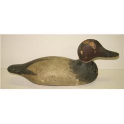 MASON CANVASBACK DECOY