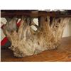 Image 2 : Burl Table On Stump Base- 63"L X 16.5"H X 23"D