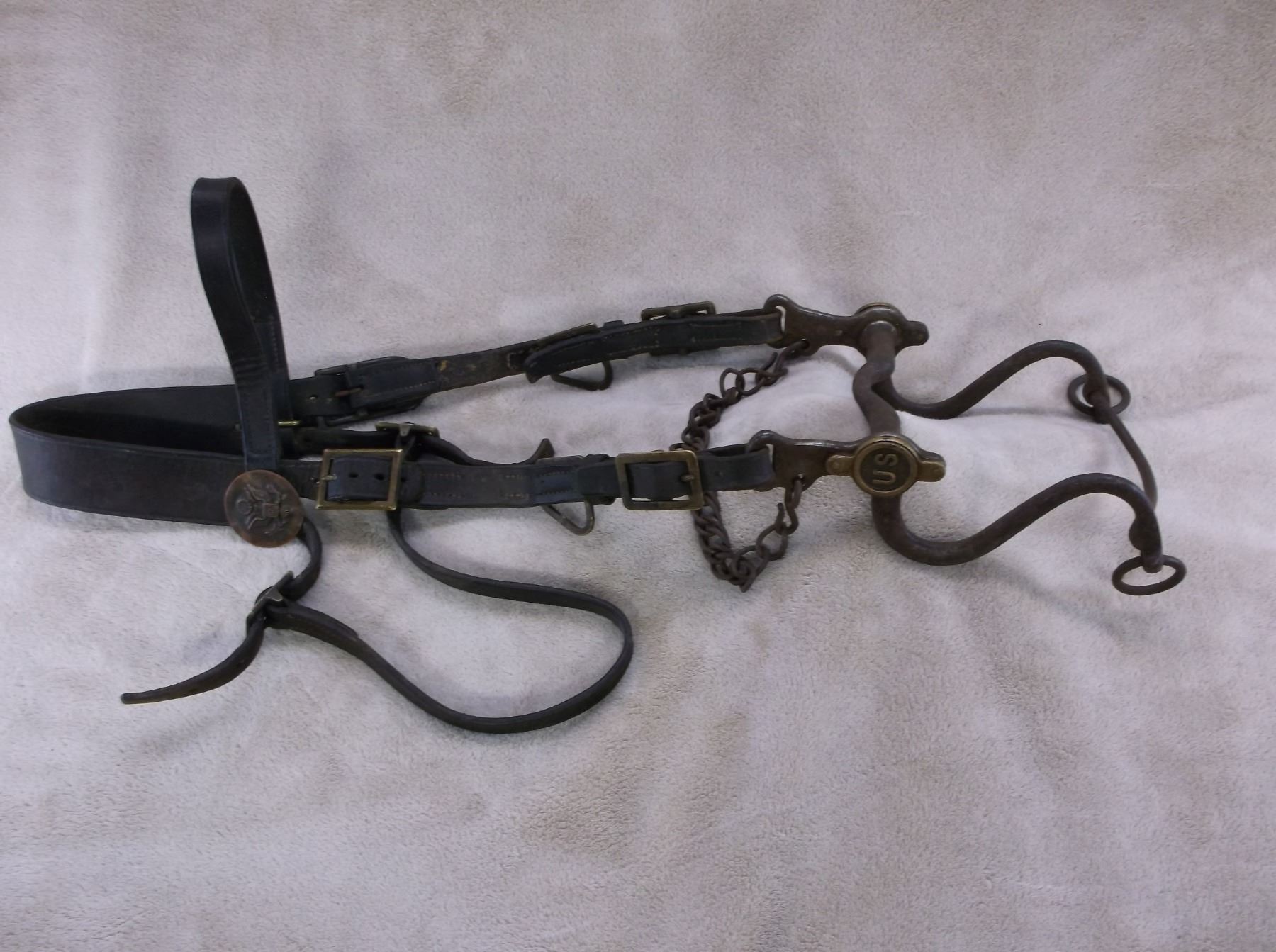 US Cavalry Bridle With Rosettes US Cavalry Bit S Shank Curb US Conchos