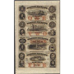 Uncut Sheet of 1857 Western Exchange Fire & Marine Insurance Co. Obsolete Notes