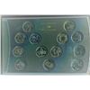 Image 1 : SPECIAL EDITION MILLENIUM QUARTERS (2000, QTY 13)