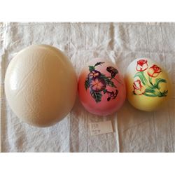 OSTRICH EGGS (QTY 3)