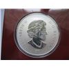 Image 3 : 2012 50 CENT COIN *THE QUEEN'S DIAMOND JUBILEE*