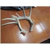 Image 2 : PAIR OF DEER SHEDS