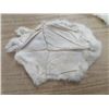 Image 3 : LOT OF 2 RABBIT PELTS (WHITE)
