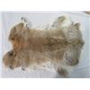 Image 2 : LOT OF 2 LARGE RABBIT PELTS (WHITE& BEIGE)
