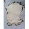 Image 3 : LOT OF 2 LARGE RABBIT PELTS (WHITE& BEIGE)