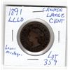 Image 1 : 1891 LARGE CENT (LLLD)