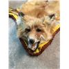 Image 2 : VINTAGE FOX RUG