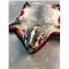 Image 2 : VINTAGE BADGER RUG