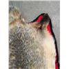 Image 5 : VINTAGE BADGER RUG