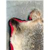 Image 6 : VINTAGE BADGER RUG