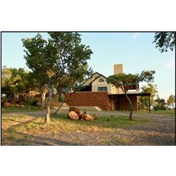 5-night Use of Kifaru Villa