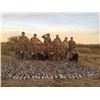 Image 2 : 4-day/3-night Mexico Dove and Duck Hunt for Two Hunters