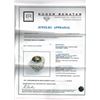 Image 4 : 13.13ct Natural Malaya Garnet 18K White Gold Ring