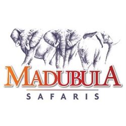 Madubula Safaris Plains Game Hunt