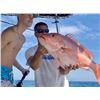 Image 2 : 4 Hour Fishing Trip for Shark for 6 Anglers – Cape Canaveral FL