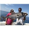 Image 6 : 4 Hour Fishing Trip for Shark for 6 Anglers – Cape Canaveral FL