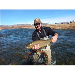 Cow Elk Hunt with High Lonesome Ranch